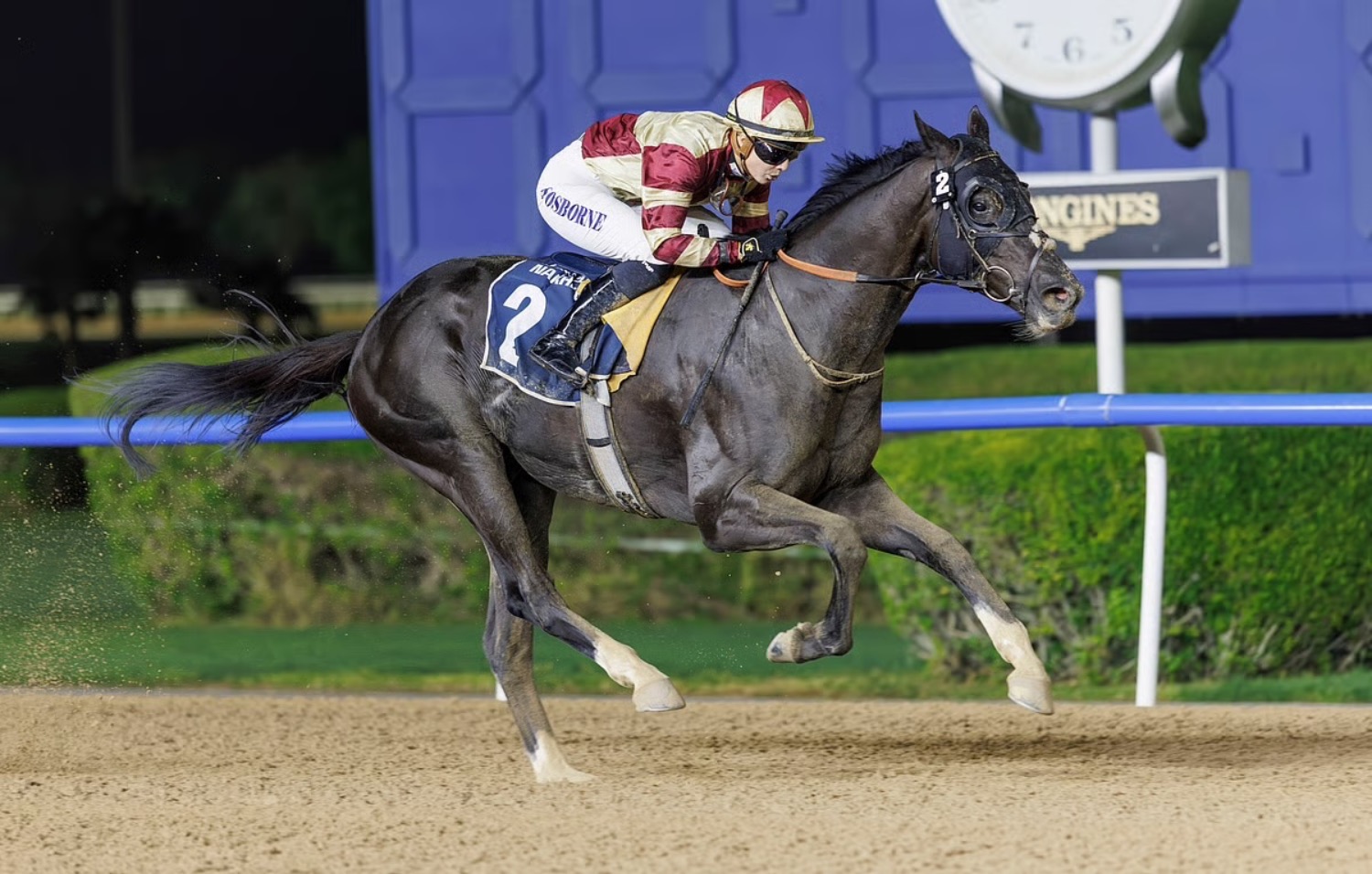 Dubai Racing Carnival: 300 Pferde aus 19 Ländern in Dubai | Die Geissens Real Estate | Luxus Immobilien mit Carmen und Robert Geiss – Die Geissens in Dubai